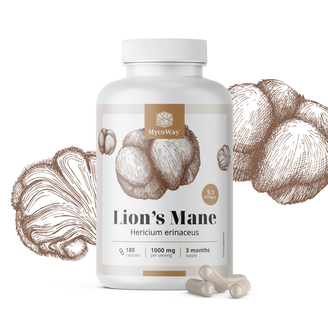 Pruikzwam 1000 mg – extract 5:1