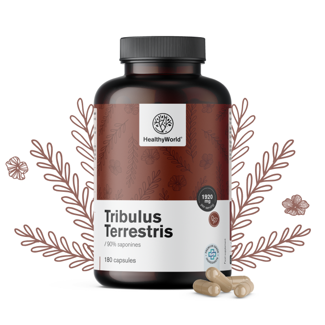 Tribulus – Maltezer kruis 1920 mg