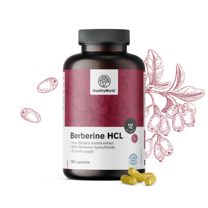Berberine HCL 500 mg