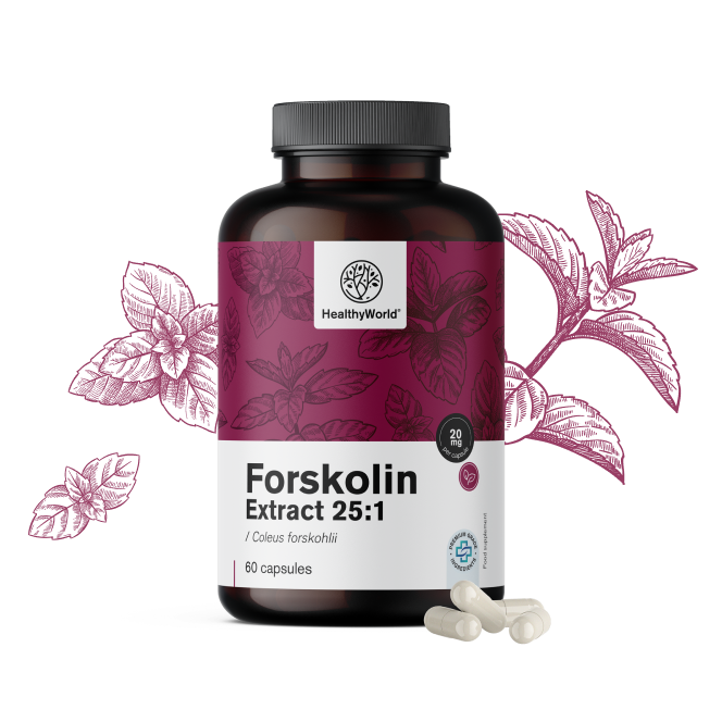 Forskoline – uit extract van Indiase brandnetel 20 mg
