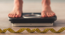 Body Mass Index Calculator