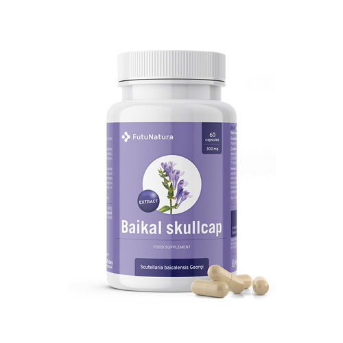 Baikal helmkruid – extract