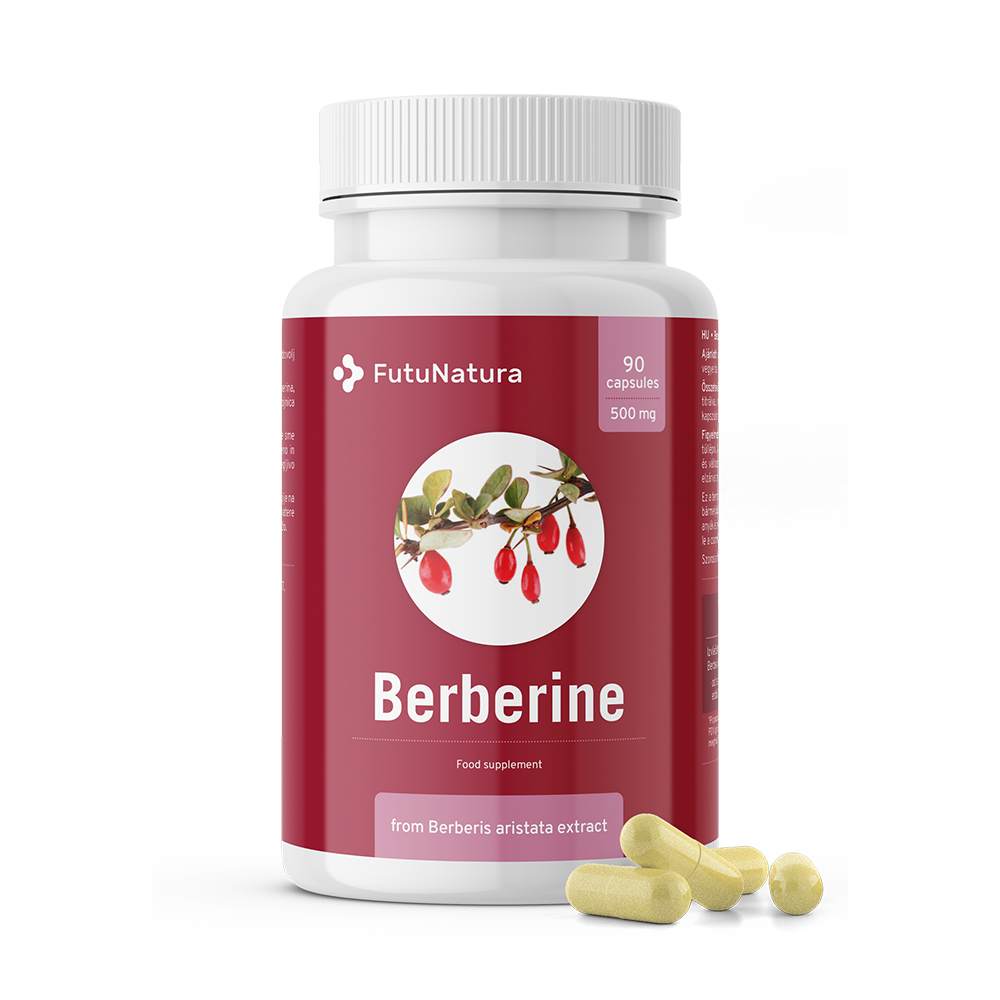 Berberine 500 mg uit het extract van Berberis aristata.