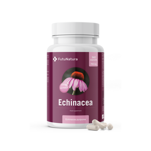 Rode zonnehoed - extract 10:1, 360 capsules