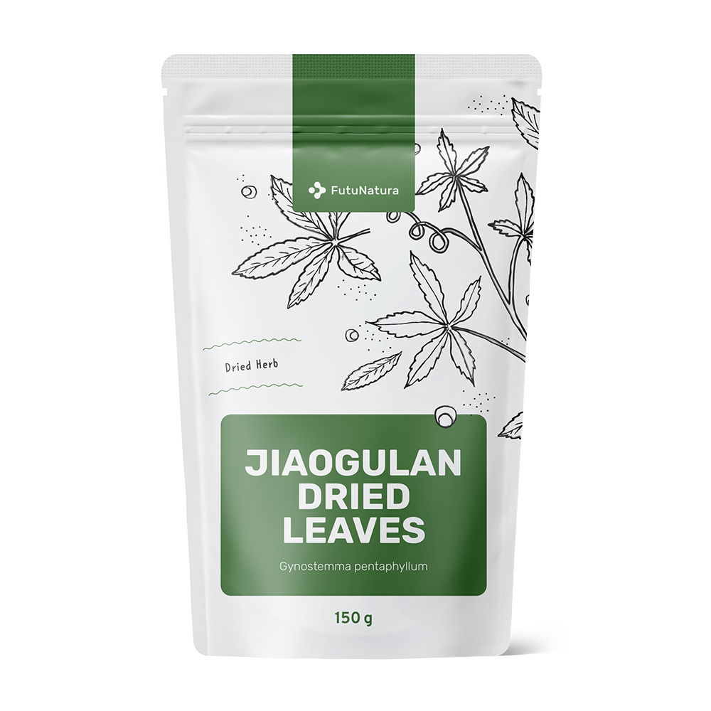 Jiaogulan gedroogde bladeren.