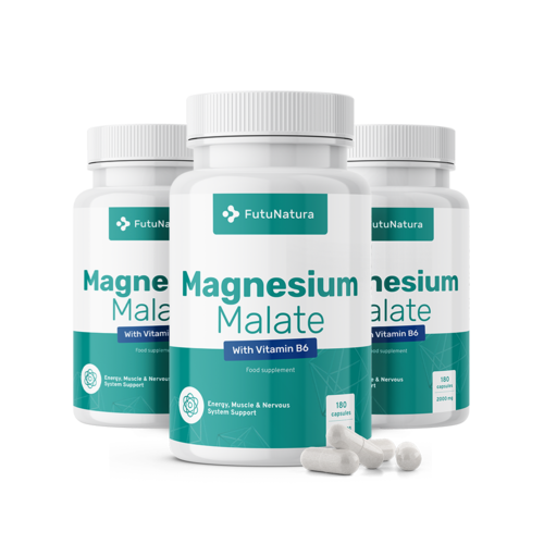 3x Magnesiummalaat 2000 mg, totaal 540 capsules