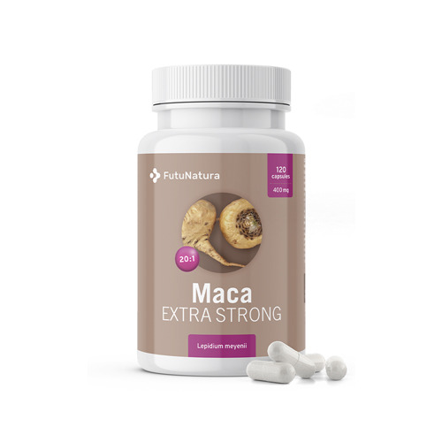 Maca 20:1 Extra Strong.