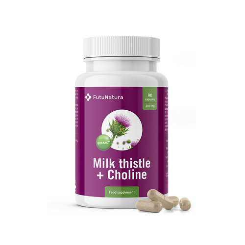 Mariadistel + choline