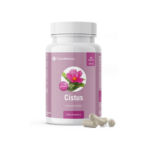 Cistus – extract