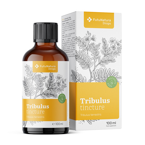 Tribulus 