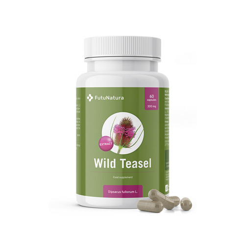 Wilde kaardebol