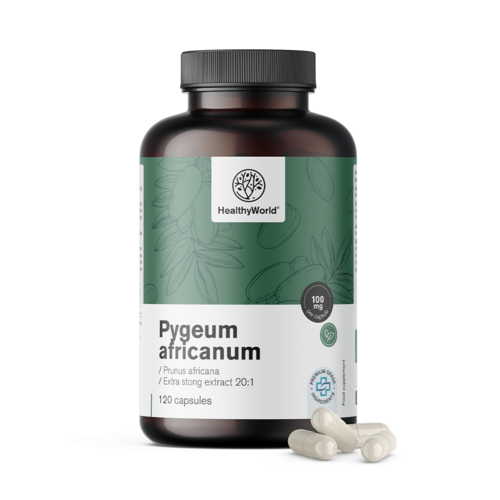Pygeum – extract van de Afrikaanse pruim, 120 capsules