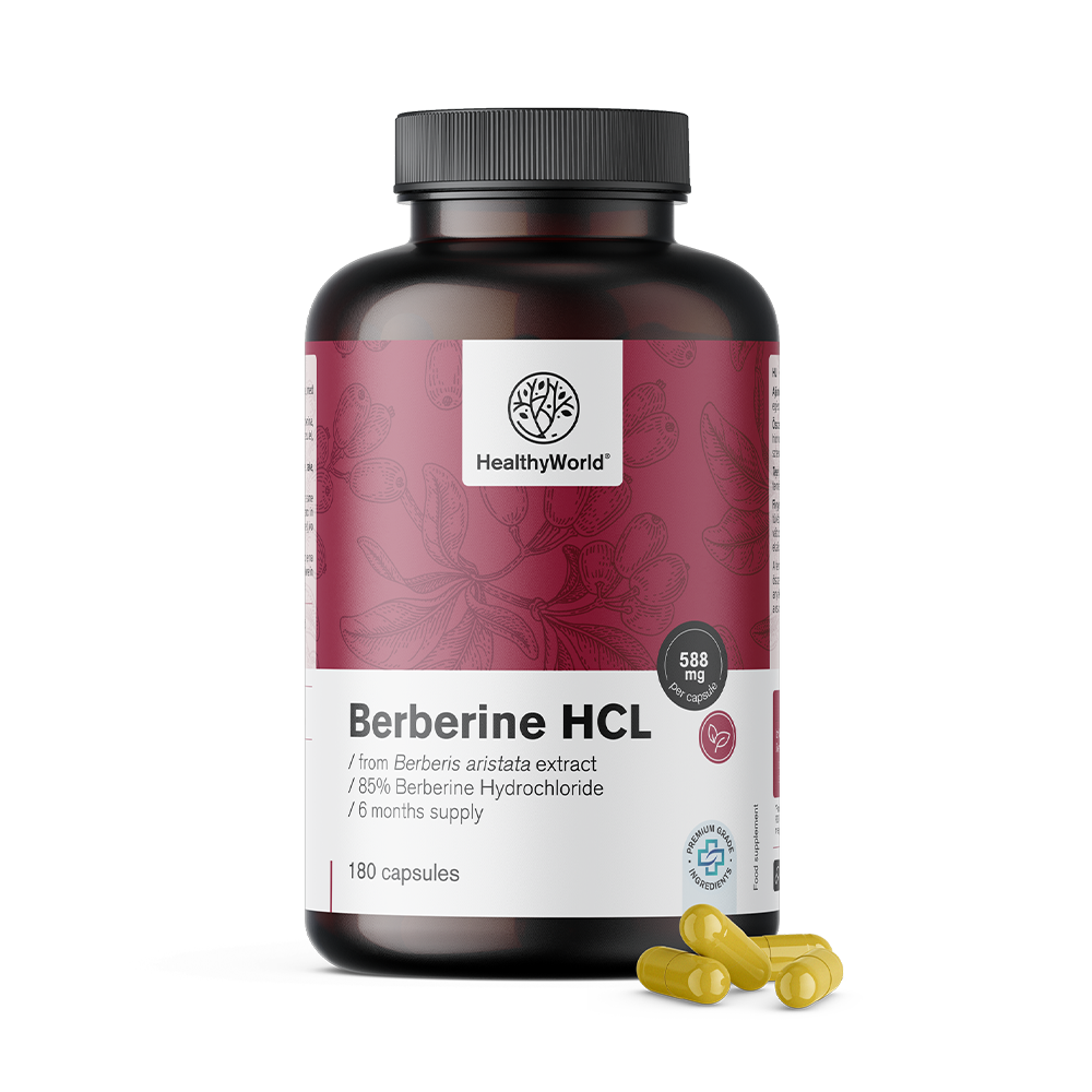 Berberine HCL 500 mg uit Indische zuurbes-extract.