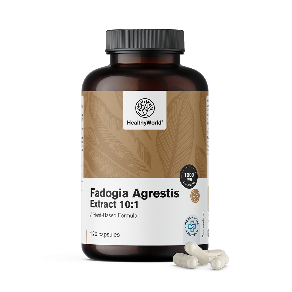 Fadogia Agrestis 1000 mg in capsules.