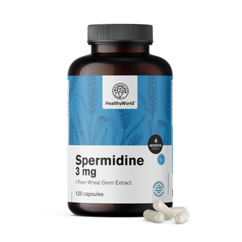 Spermidine 3 mg - uit tarwekiemextract, 120 capsules