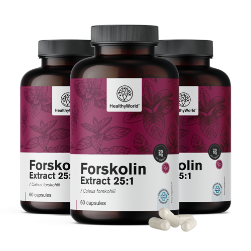 3x Forskoline – uit extract van Indiase brandnetel 20 mg, totaal 180 capsules