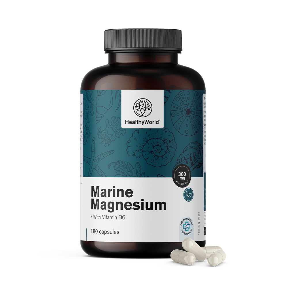 Zeemagnesium 360 mg