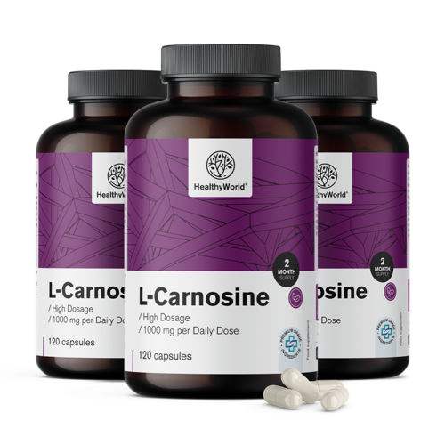 3x L-carnosine 1000 mg, totaal 360 capsules