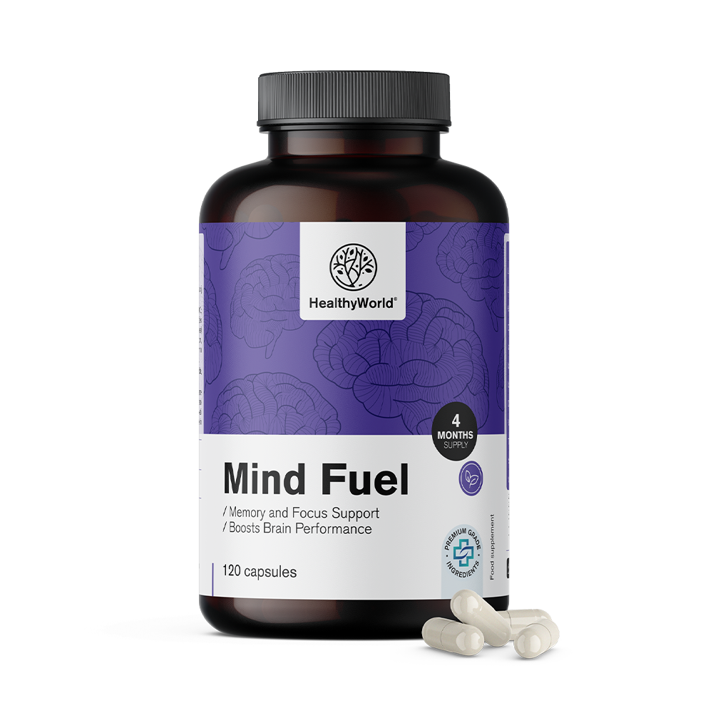 Mind Fuel - geheugen en concentratie