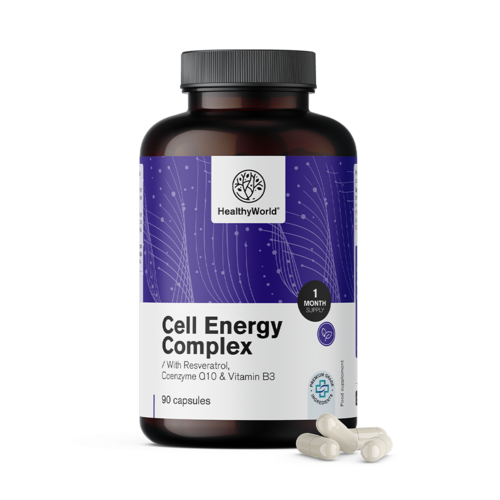 Cell Energy – complex voor de energiemetabolisme, 90 capsules