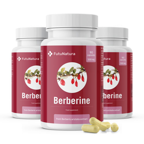 3x Berberine 500 mg, totaal 270 capsules