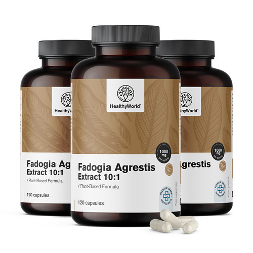 3x Fadogia Agrestis 1000 mg, totaal 360 capsules