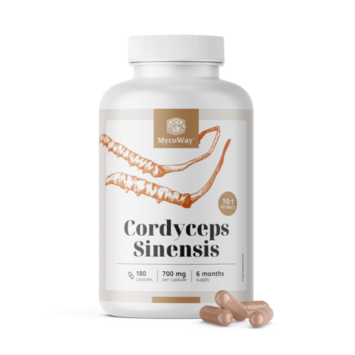 Cordyceps sinensis 1400 mg - extract 10:1, 180 capsules