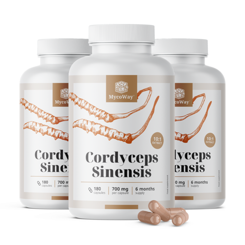3x Cordyceps sinensis 1400 mg - extract 10:1, totaal 540 capsules