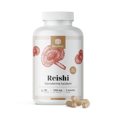 Reishi 1950 mg – extract 5:1, 180 capsules