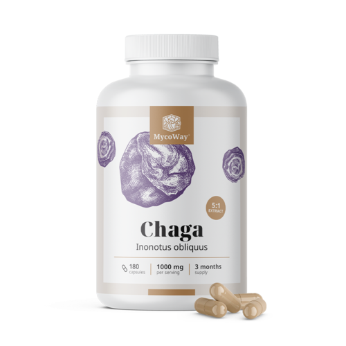 Chaga 1000 mg – extract 5:1, 180 capsules