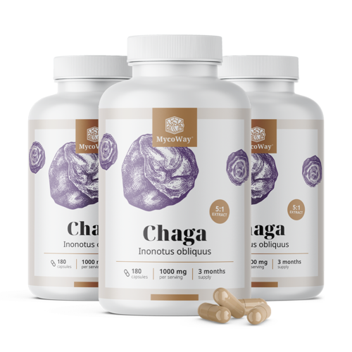 3x Chaga 1000 mg – extract 5:1, totaal 540 capsules