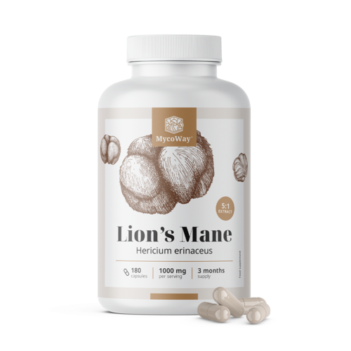 Pruikzwam 1000 mg – extract 5:1, 180 capsules