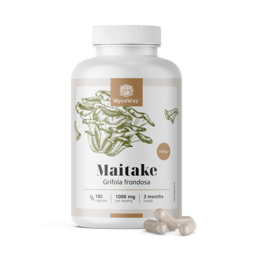 Maitake 1000 mg – extract, 180 capsules