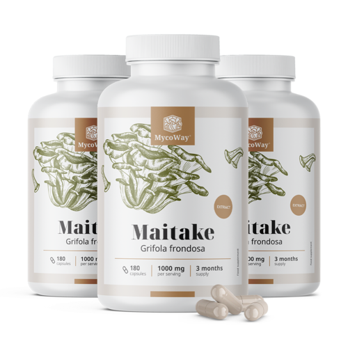 3x Maitake 1000 mg – extract, totaal 540 capsules