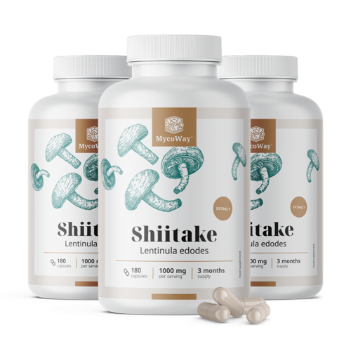 3x Shiitake 1000 mg – extract, totaal 540 capsules
