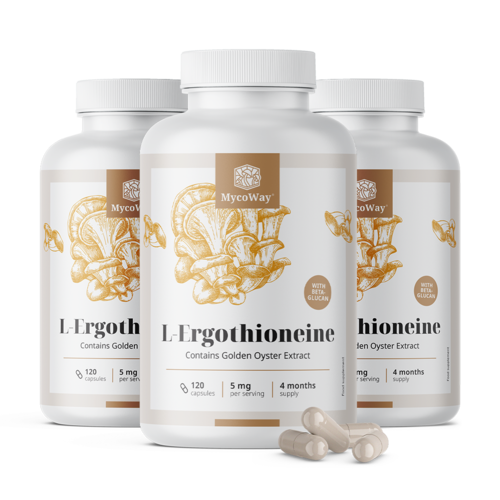 3x L-Ergothioneine 5 mg, totaal 360 capsules