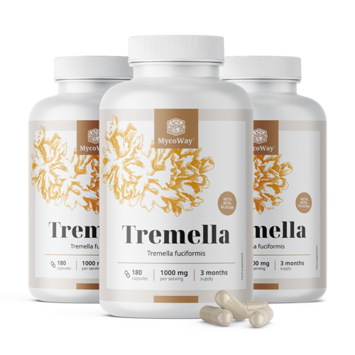 3x Snow Fungus (Tremella) 1000 mg – extract, totaal 540 capsules