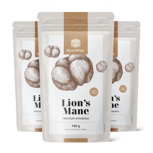 3x Pruikzwam (leeuwemanen) – extract 12:1, totaal 300 g