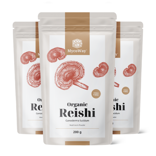 3x BIO Reishi poeder, totaal 600 g