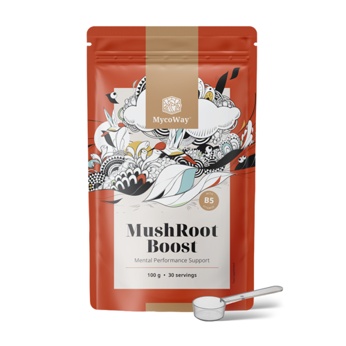 MushRoot Boost – drank voor mentale prestaties, 100 g