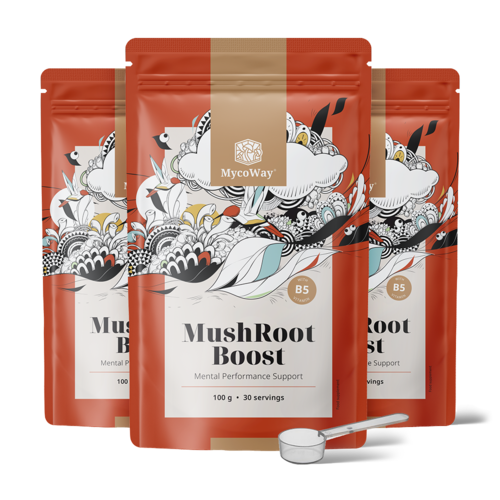 3x MushRoot Boost – drank voor mentale prestaties, totaal 300 g