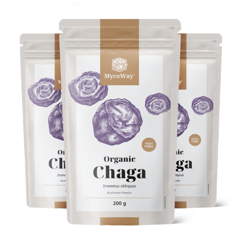 3x BIO Chaga in poedervorm, totaal 600 g