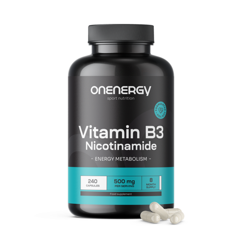 Vitamine B3 500 mg – nicotinamide, 240 capsules