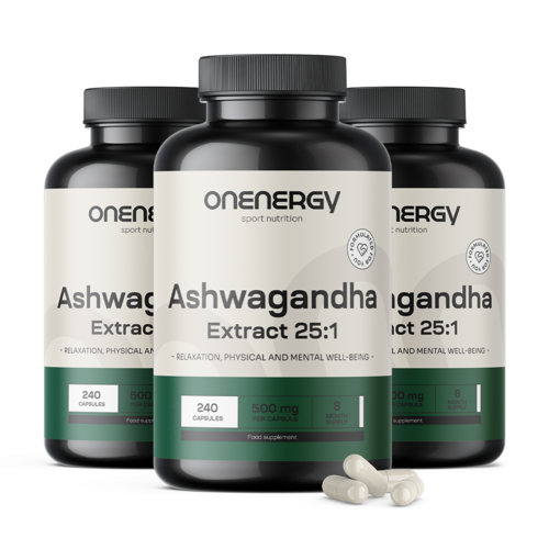 3x Ashwagandha 500 mg – Extract 25:1, totaal 720 capsules
