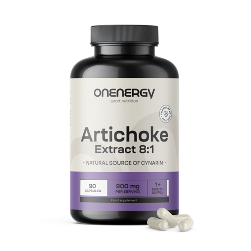 Artisjok – Extract 8:1, 90 capsules