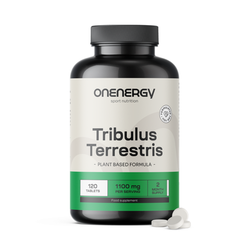 Gewone Tribulus (Tribulus) – extract 15:1, 120 tabletten